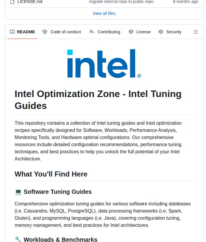 Intel Optimization Zone — изображение проекта