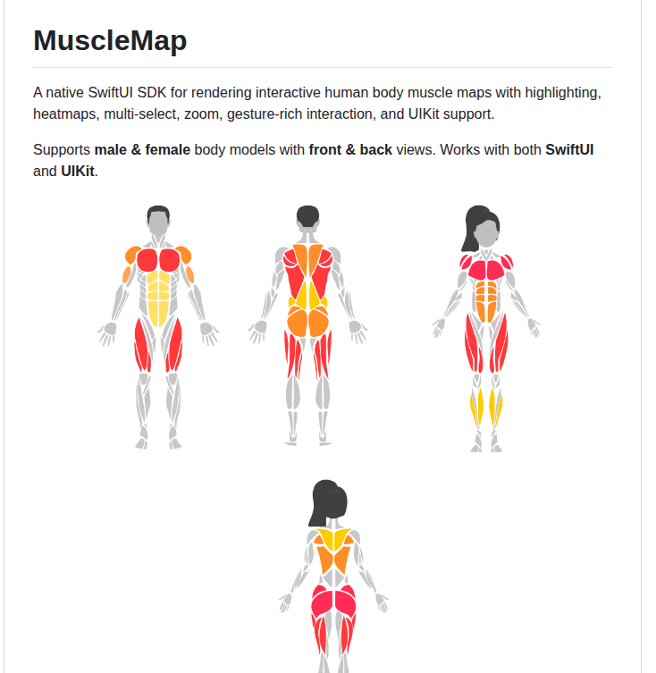 MuscleMap
