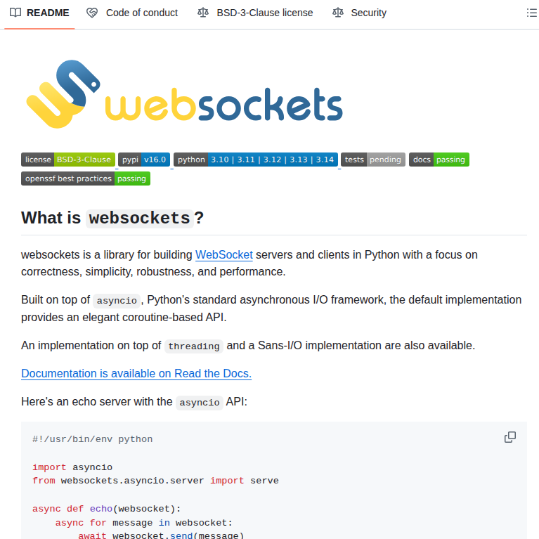 websockets — изображение проекта