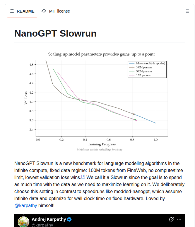 NanoGPT Slowrun