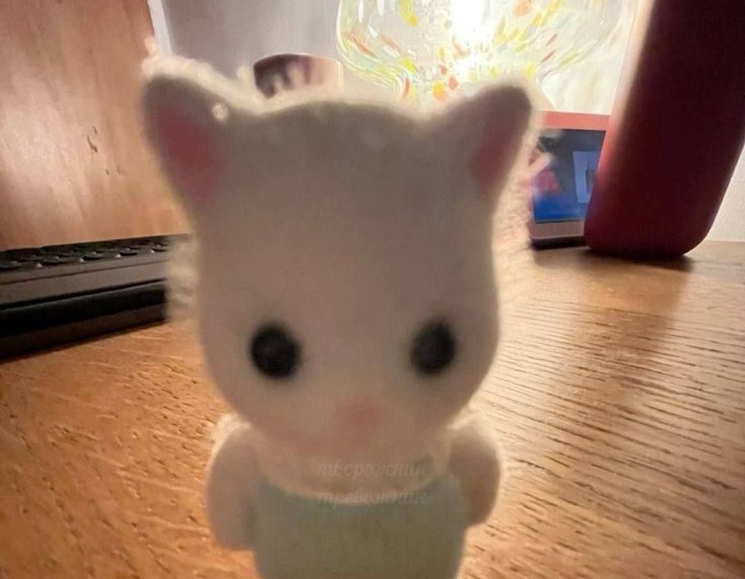 Изображение из Telegram