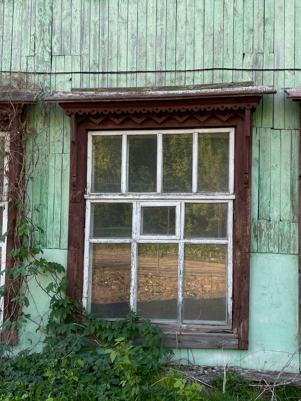 Изображение из Telegram