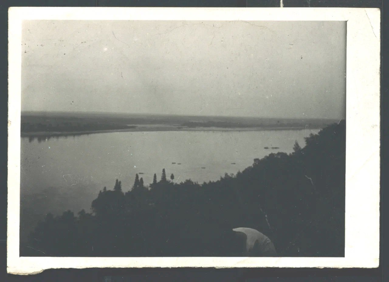 Изображение из Telegram