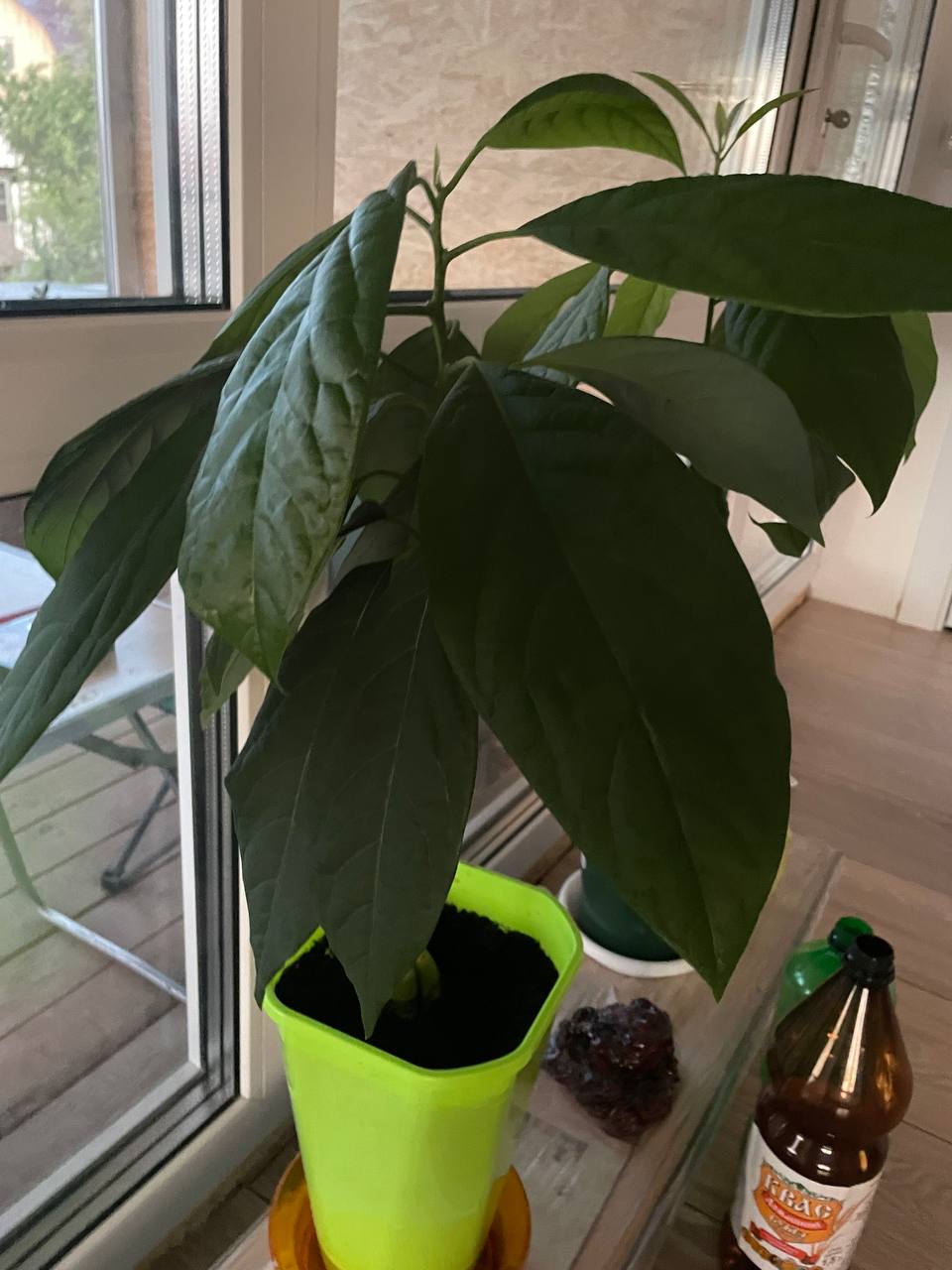 Пост из Telegram