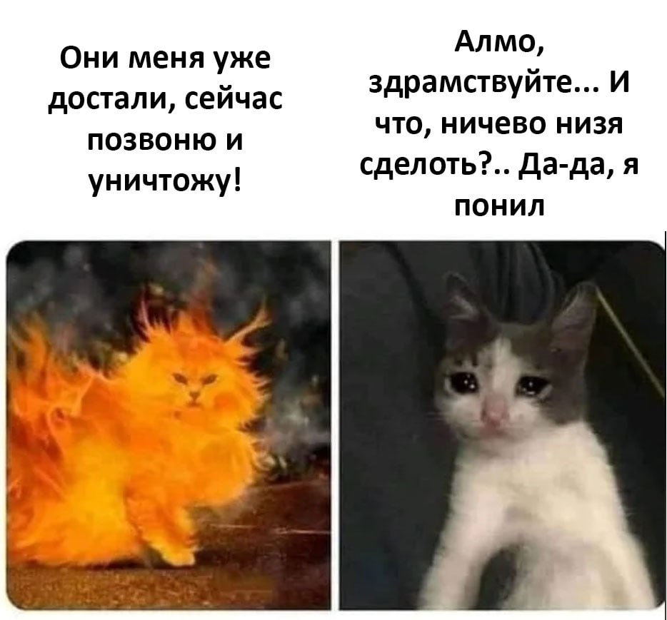 Пост из Telegram