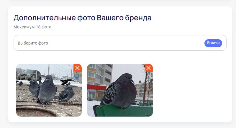 Изображение из Telegram