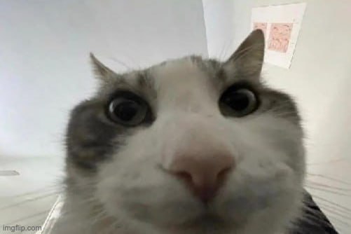 Изображение из Telegram