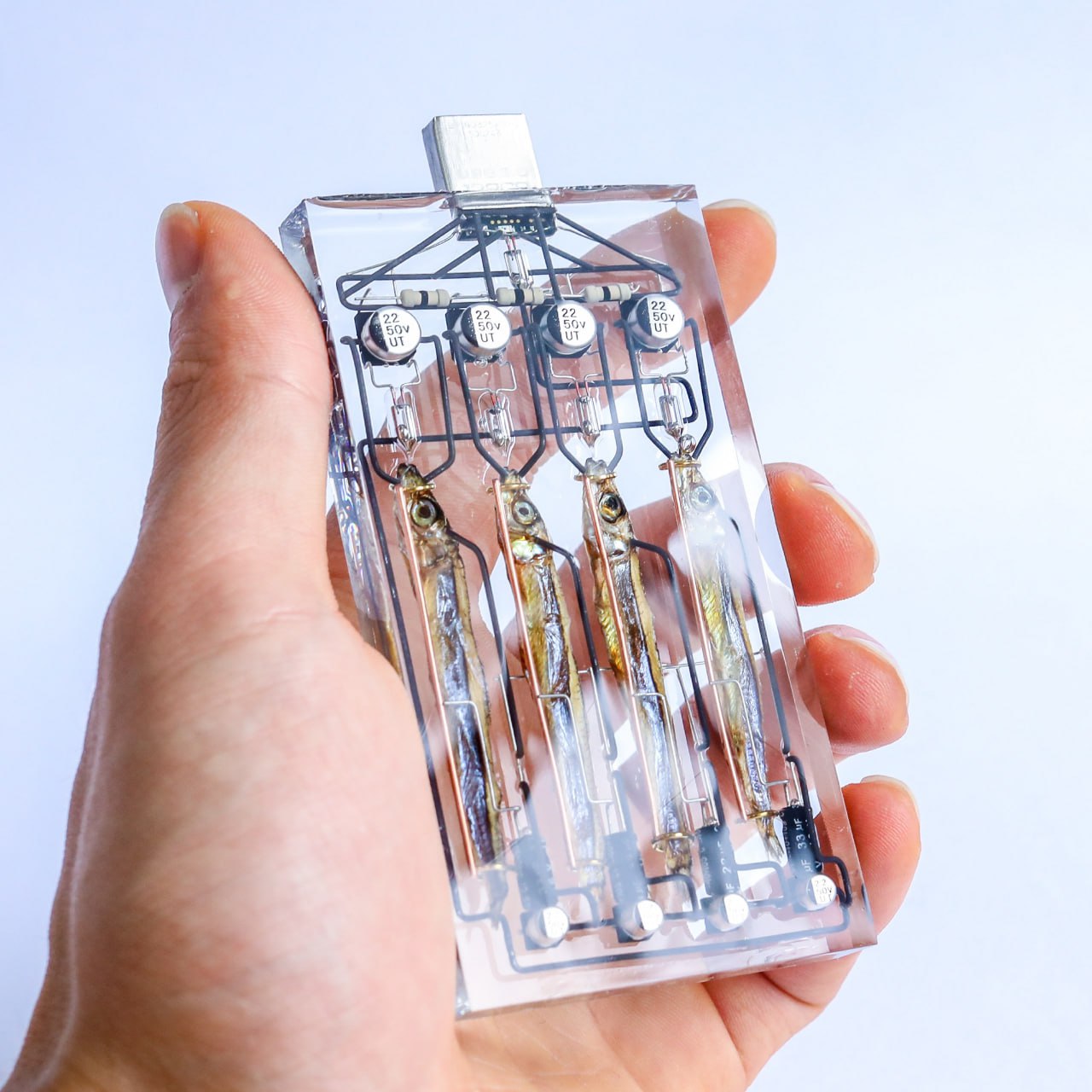 4-битный SSD. Одна сардина - один бит.