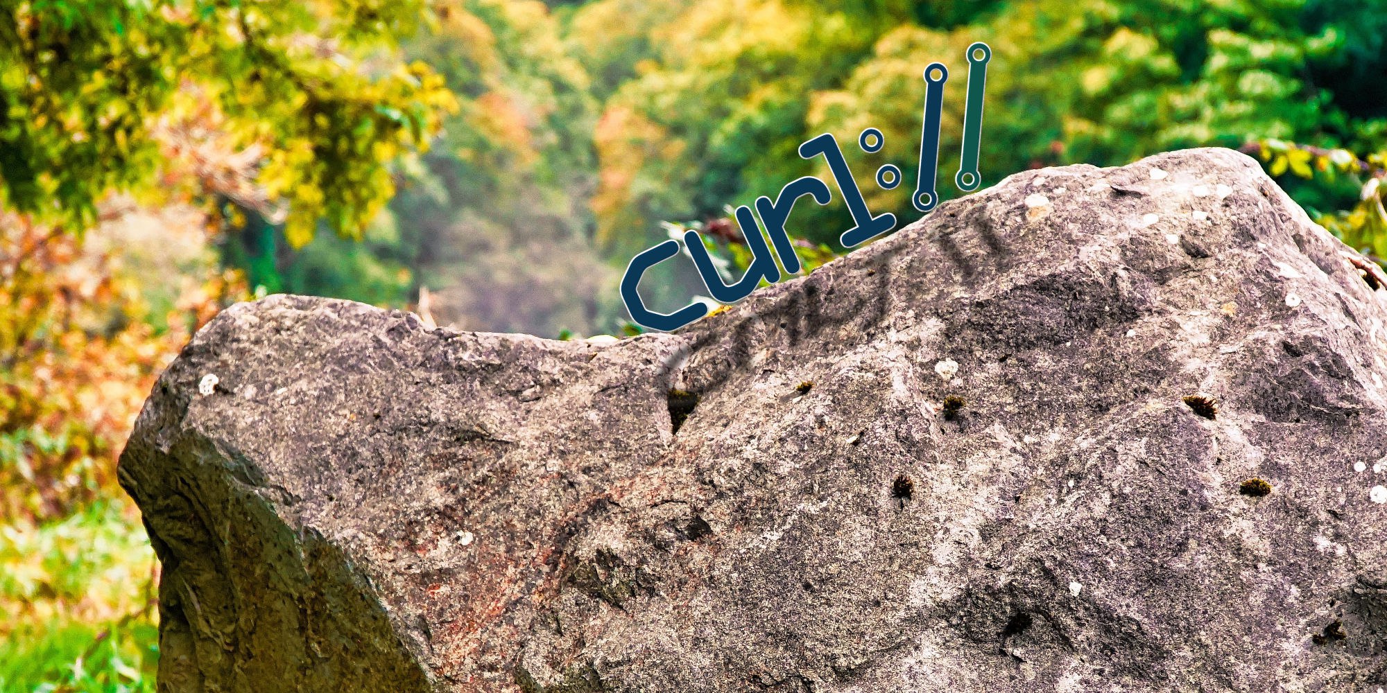 Изображение из Telegram